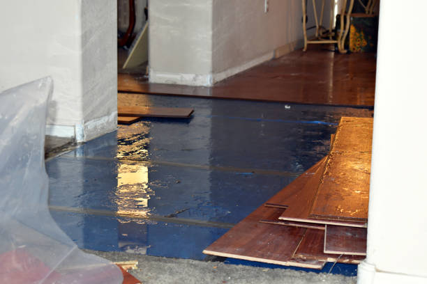 Professional Water Damage Restoration technician working in Pilot Point, TX
